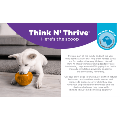 Orbee Tuff Snoop Interactive Dog Toy Orange