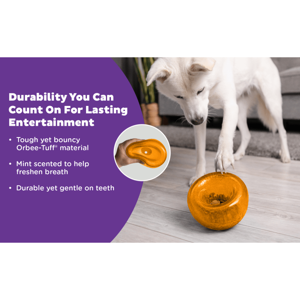 Orbee Tuff Snoop Interactive Dog Toy Orange