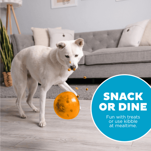 Orbee Tuff Snoop Interactive Dog Toy Orange