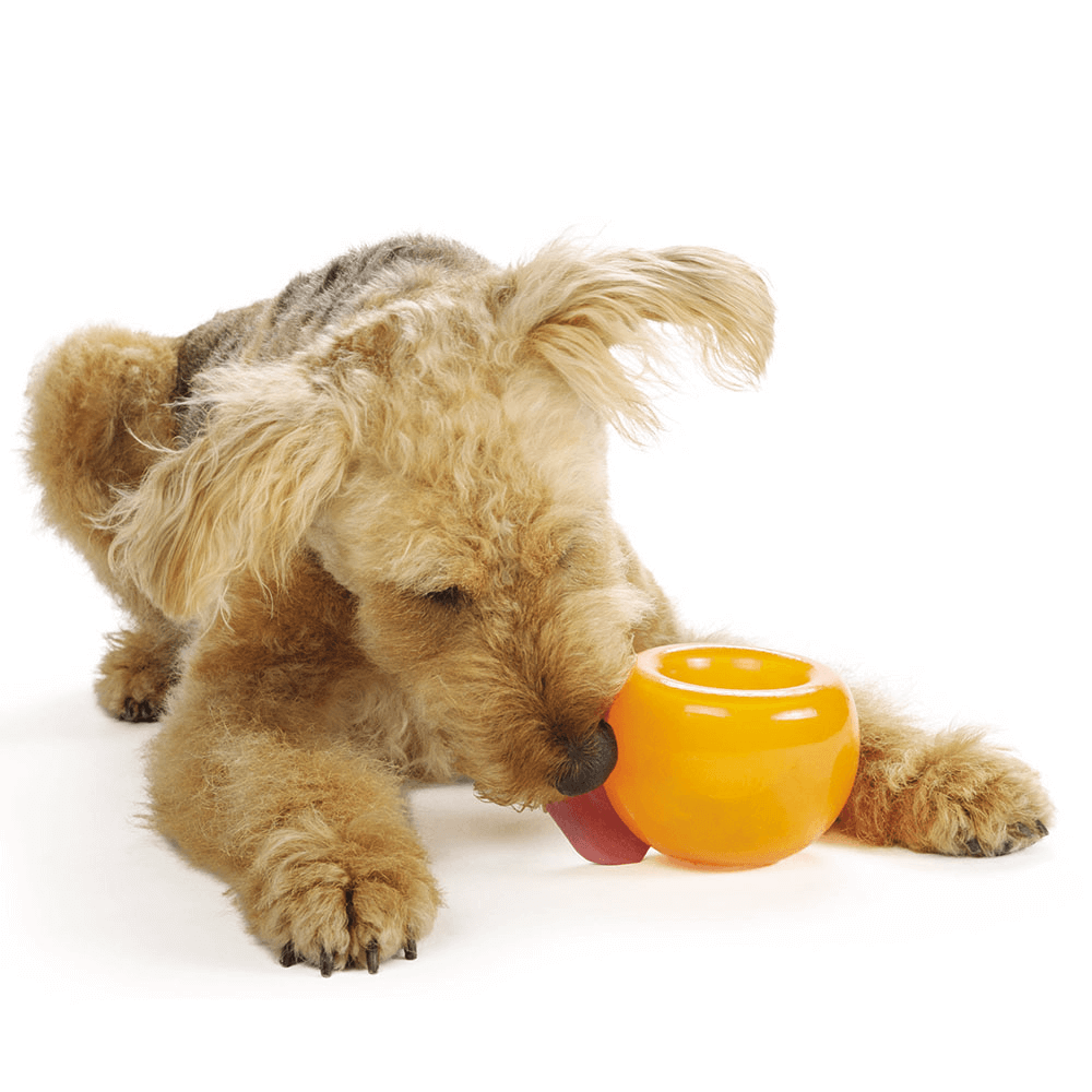 Orbee Tuff Snoop Interactive Dog Toy Orange