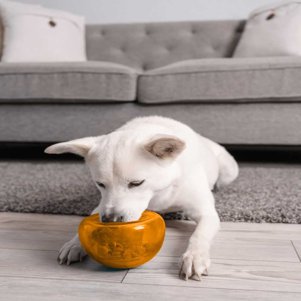 Orbee Tuff Snoop Interactive Dog Toy Orange