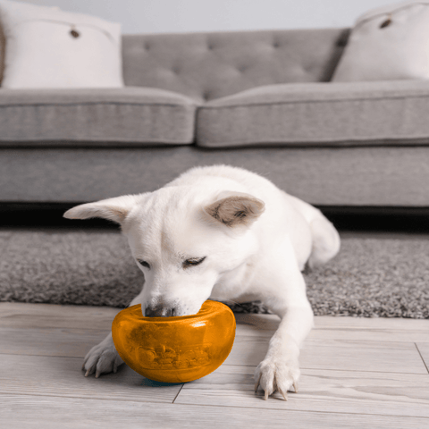 Orbee Tuff Snoop Interactive Dog Toy Orange