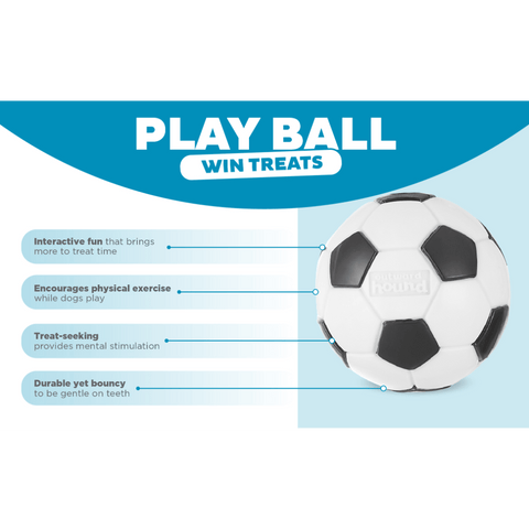 Soccer Ball Dog Treat Dispensing Toy White