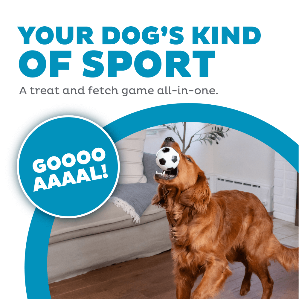 Soccer Ball Dog Treat Dispensing Toy White