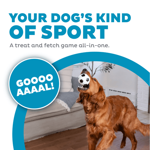 Soccer Ball Dog Treat Dispensing Toy White