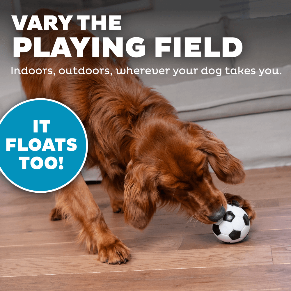 Soccer Ball Dog Treat Dispensing Toy White