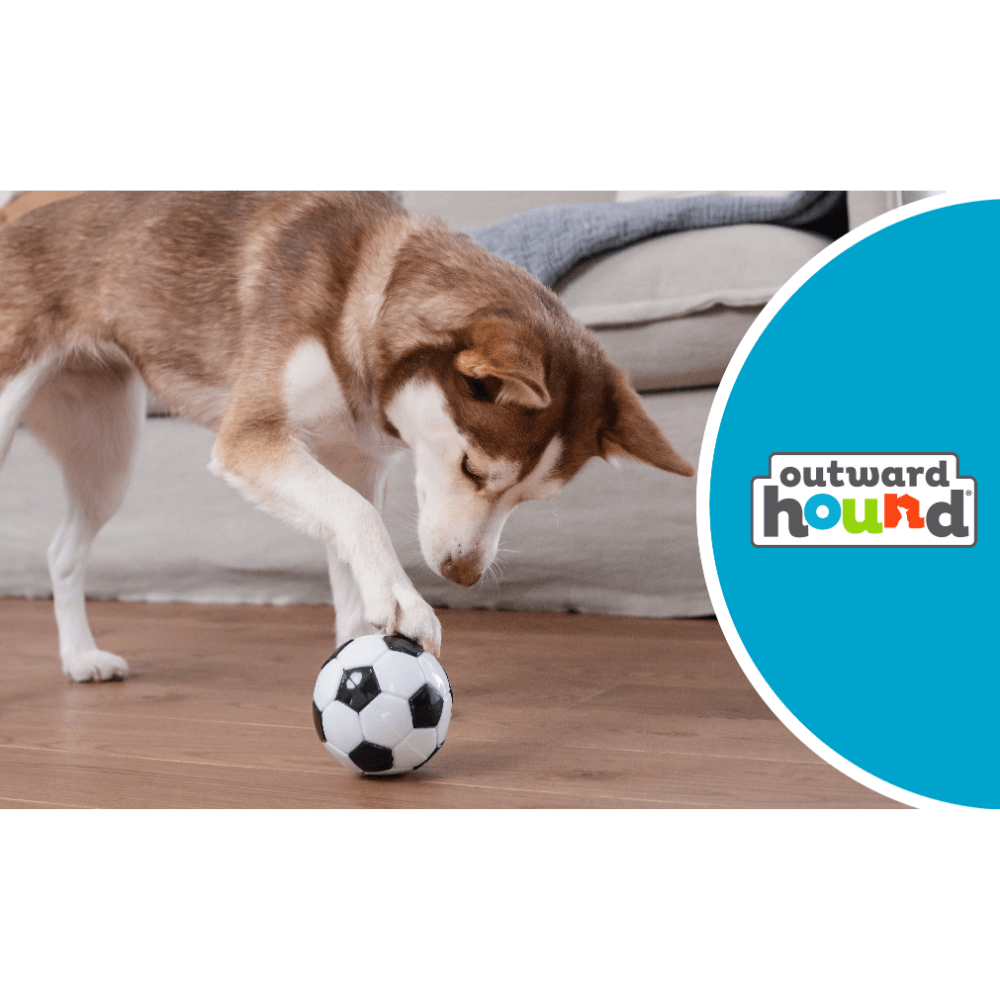Soccer Ball Dog Treat Dispensing Toy White