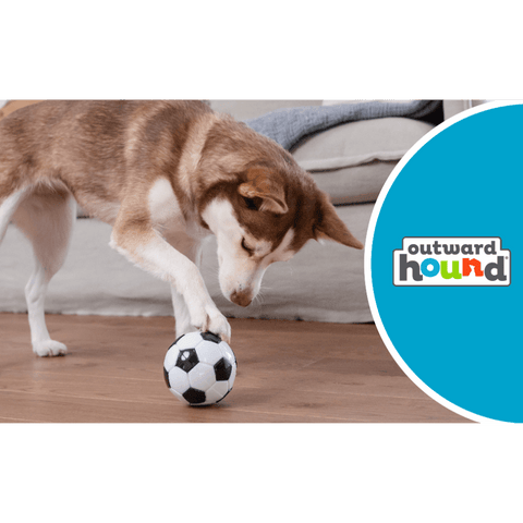 Soccer Ball Dog Treat Dispensing Toy White