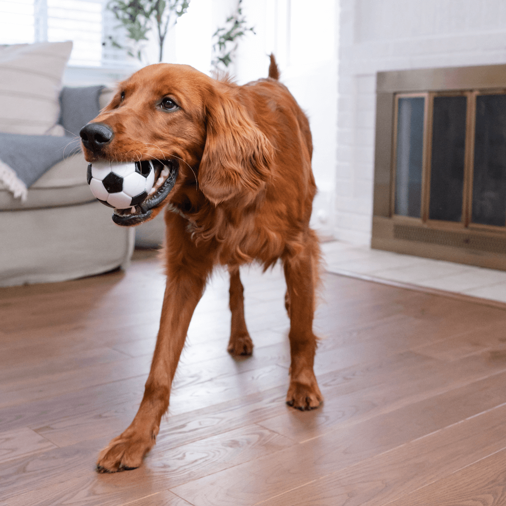 Soccer Ball Dog Treat Dispensing Toy White