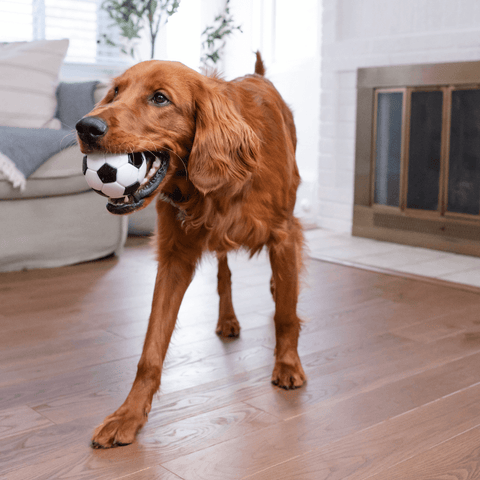 Soccer Ball Dog Treat Dispensing Toy White