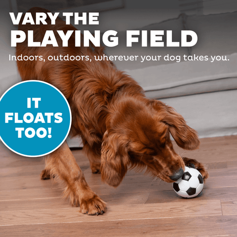 Soccer Ball Dog Treat Dispensing Toy White
