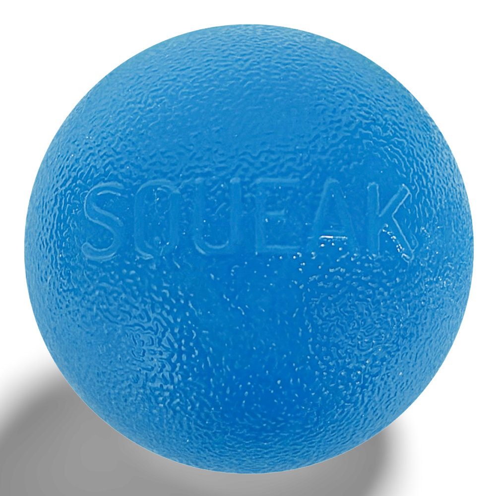Squeak Ball Dog Treat Dispensing Toy Blue