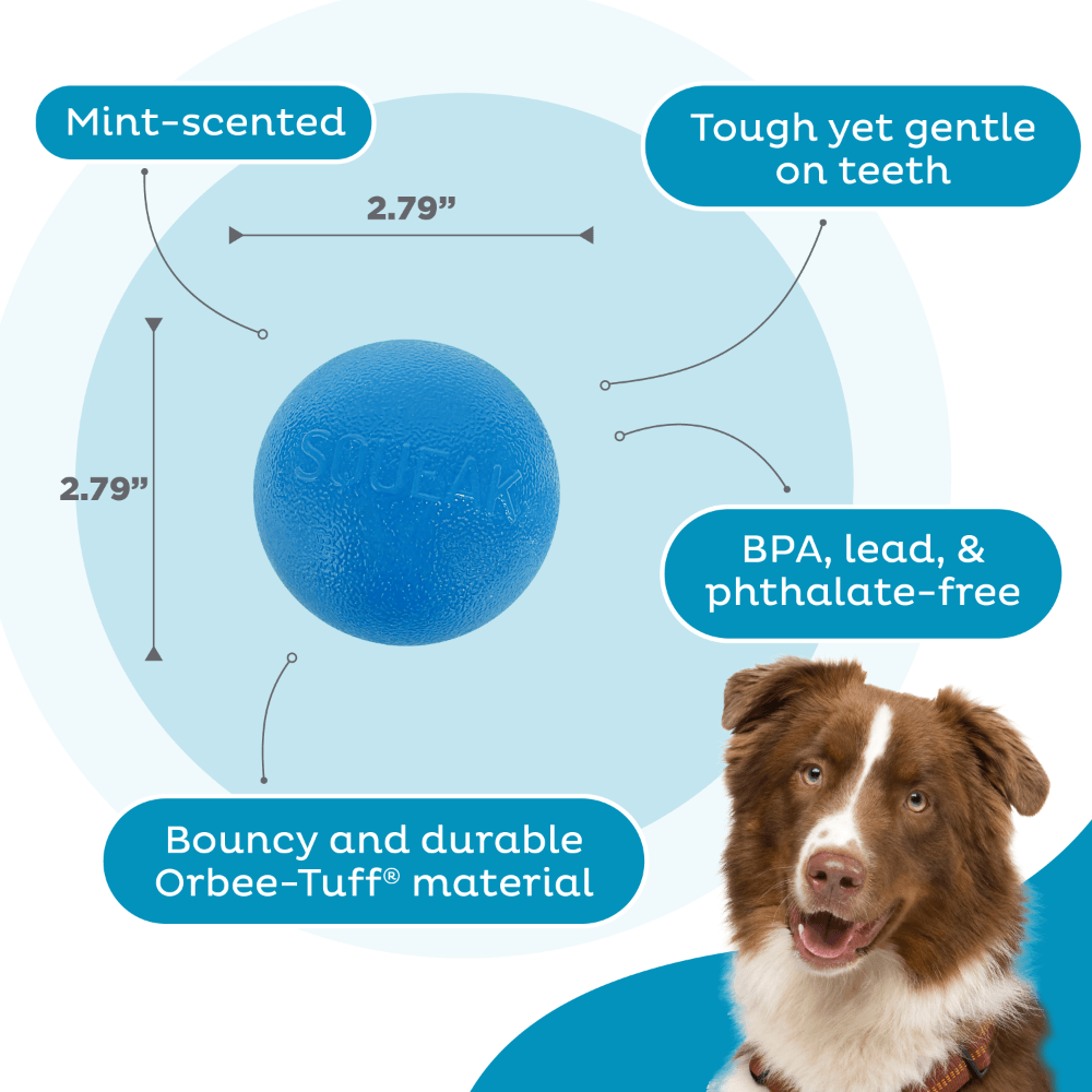 Squeak Ball Dog Treat Dispensing Toy Blue