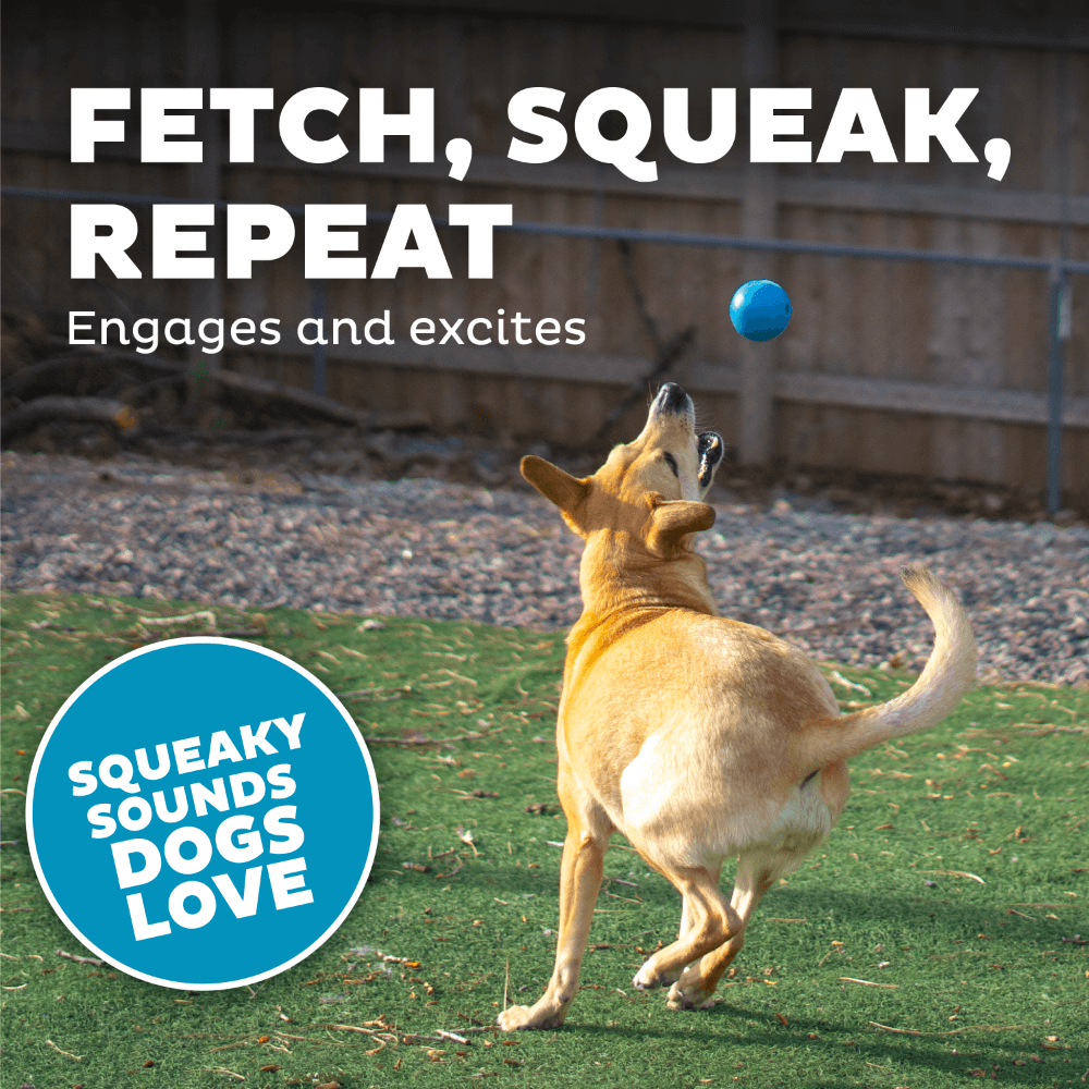 Squeak Ball Dog Treat Dispensing Toy Blue