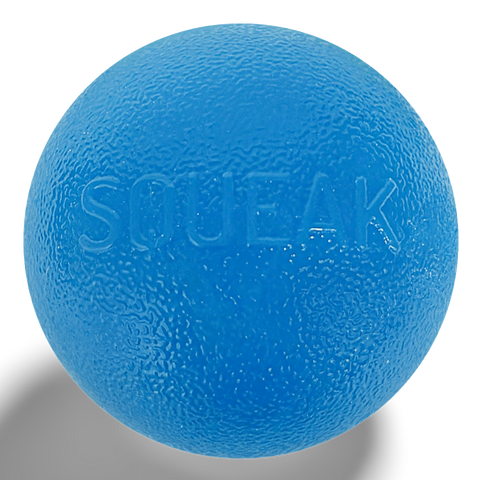 Squeak Ball Dog Treat Dispensing Toy Blue
