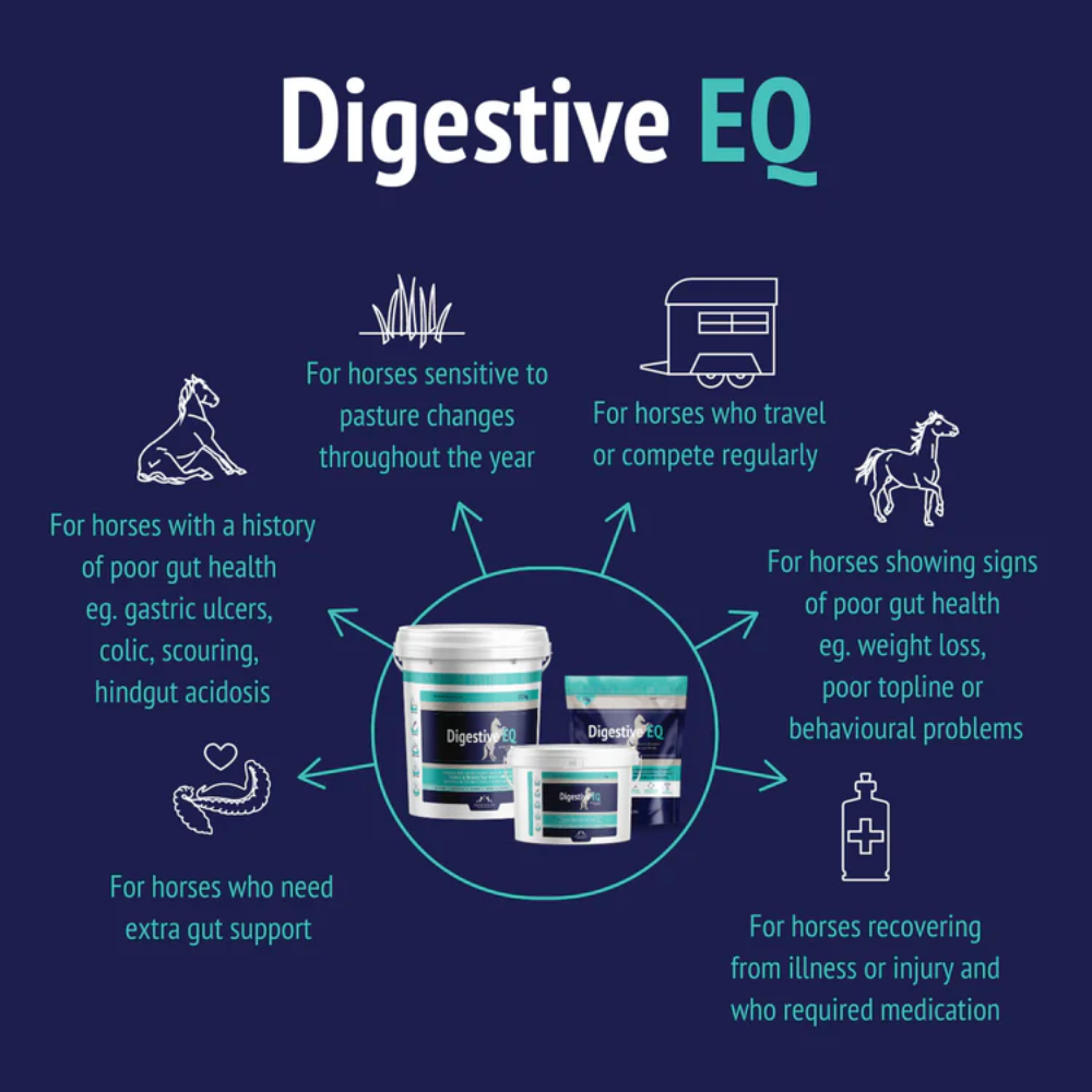 Digestive EQ Horse Gut Supplement Powder