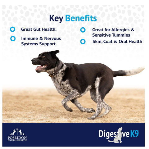 Poseidon Digestive K9 Powder