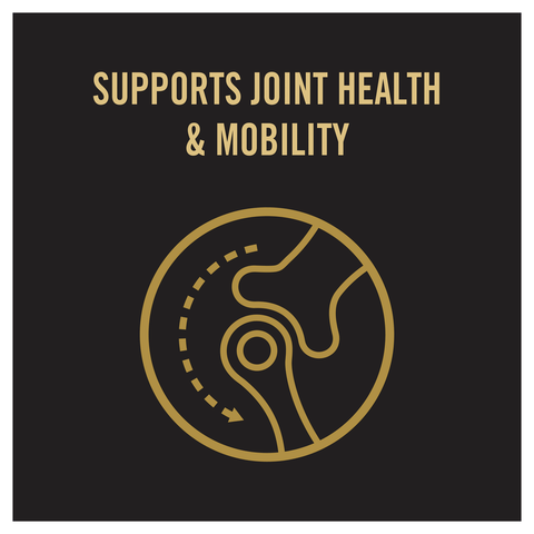 Chicken Adult Dry Dog Food