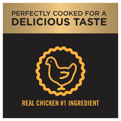 Chicken Adult Dry Dog Food