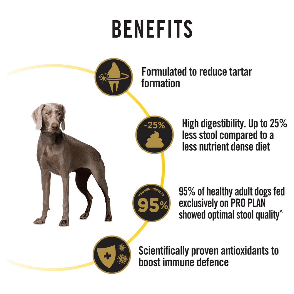 Chicken Adult Dry Dog Food