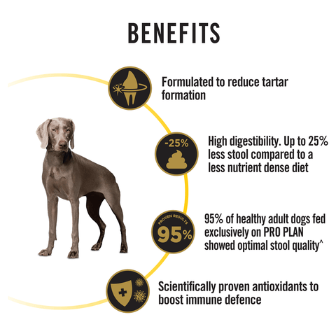 Chicken Adult Dry Dog Food