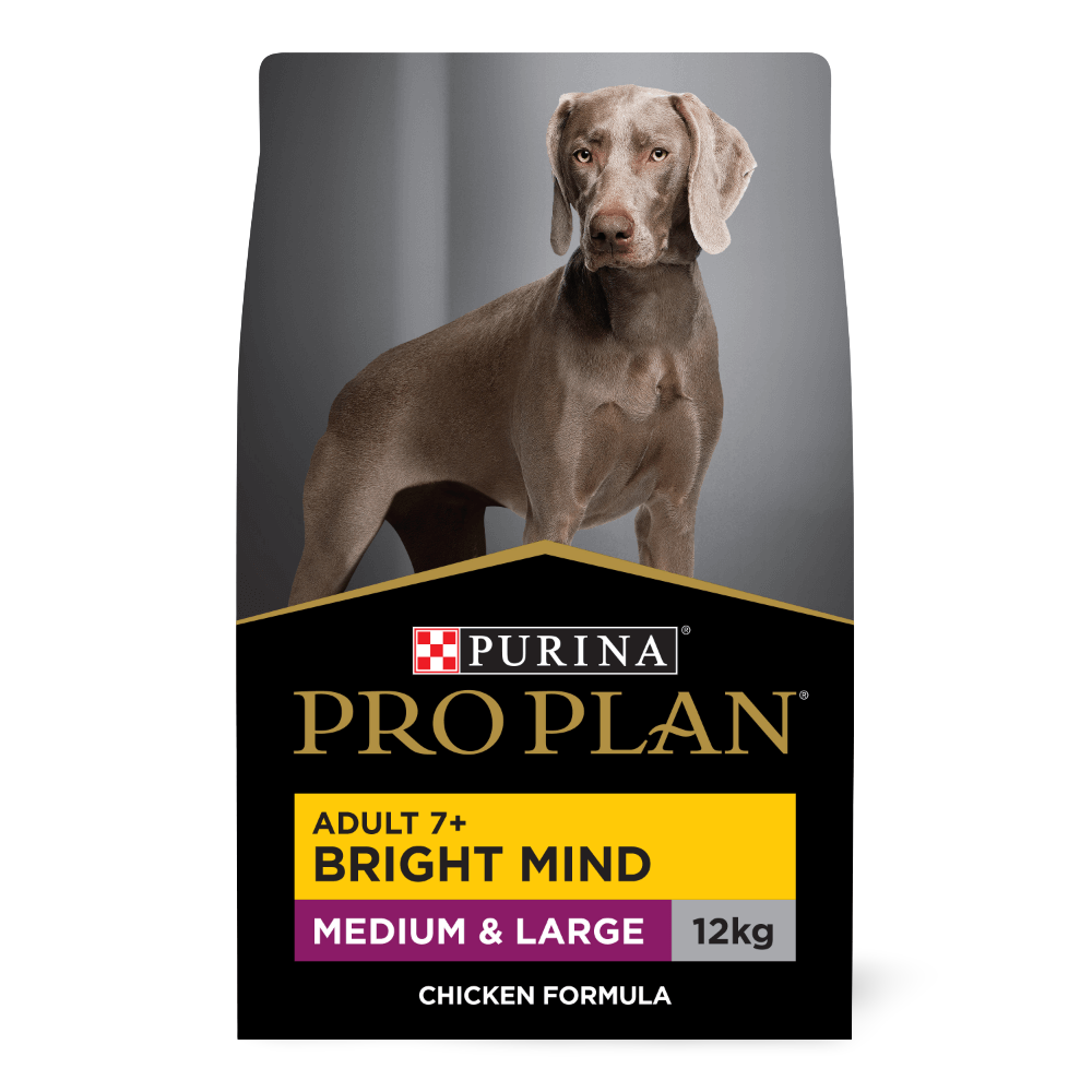Chicken Adult Dry Dog Food