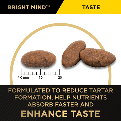 Chicken Adult Dry Dog Food