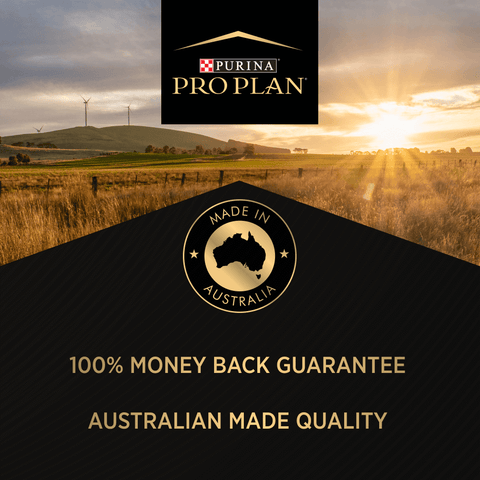 Chicken Adult Dry Dog Food