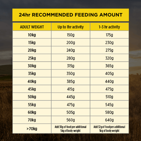 Chicken Adult Dry Dog Food