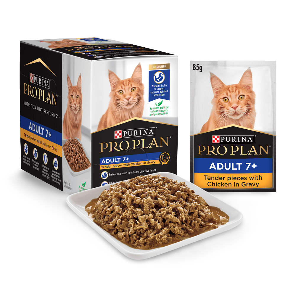 Adult 7 Plus Chicken Gravy Wet Cat Food Pouches