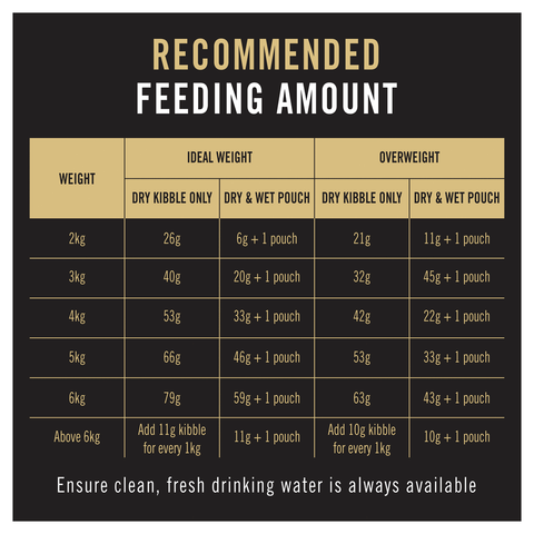 Adult Chicken Dry Cat Food