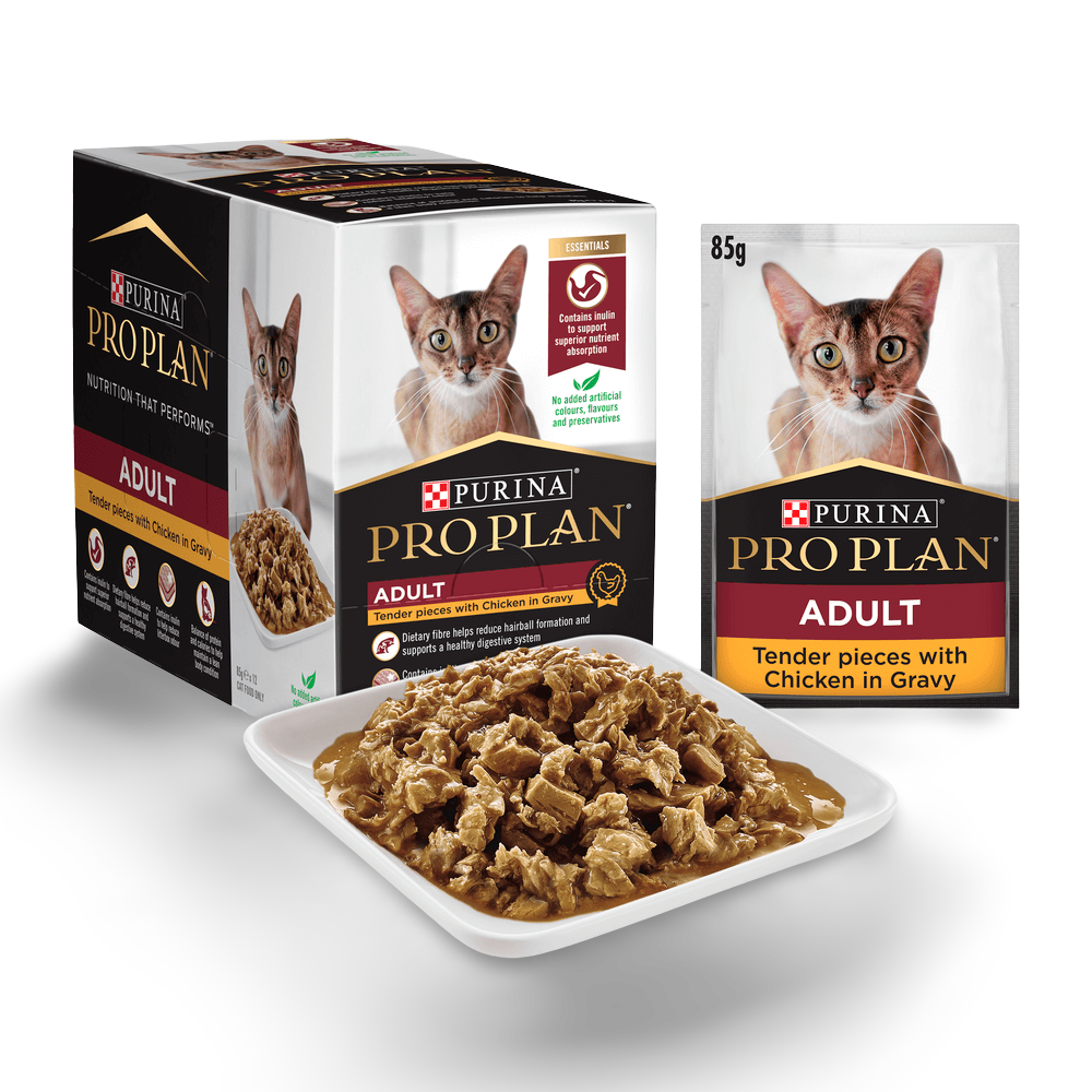 Adult Chicken Gravy Wet Cat Food Pouches