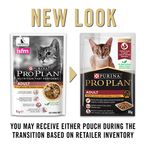 Adult Chicken Gravy Wet Cat Food Pouches