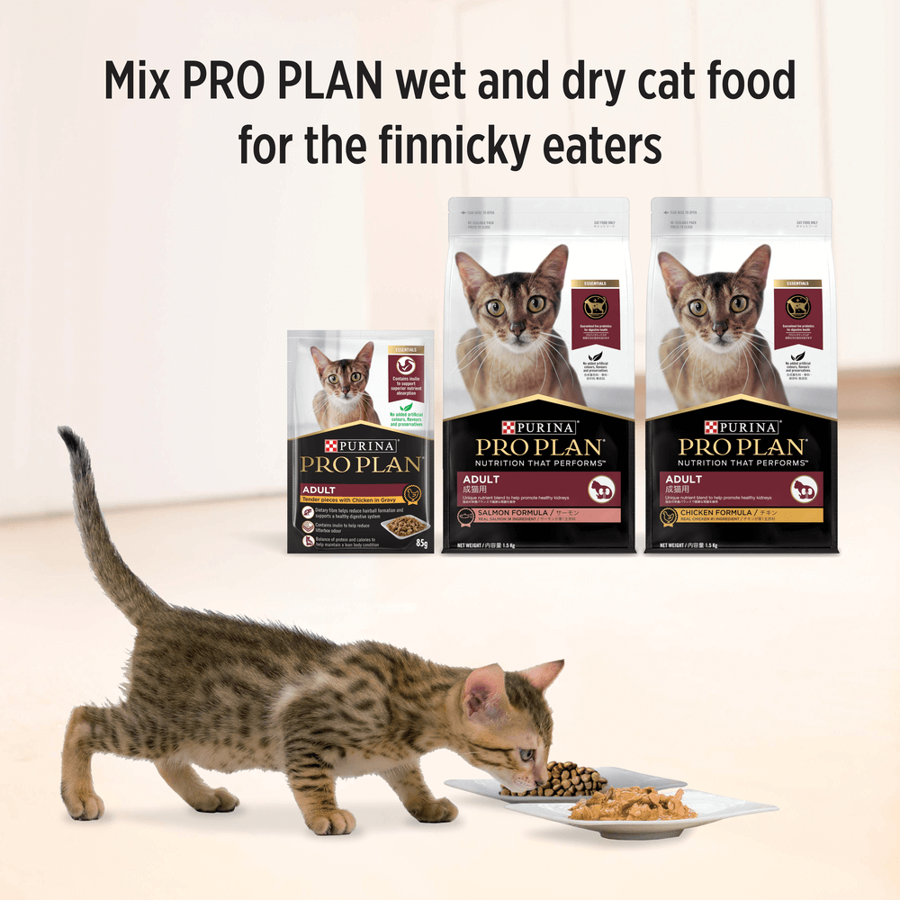 Adult Chicken Gravy Wet Cat Food Pouches