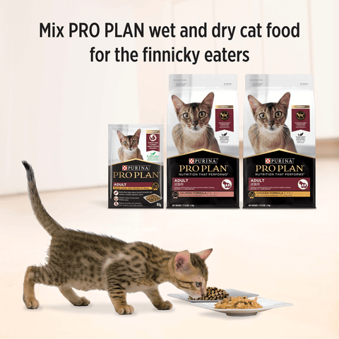Adult Chicken Gravy Wet Cat Food Pouches