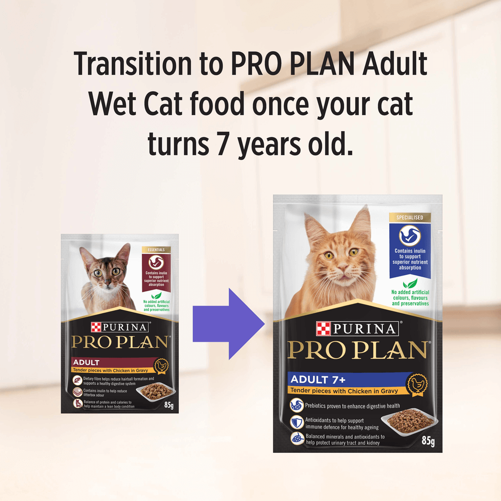 Adult Chicken Gravy Wet Cat Food Pouches