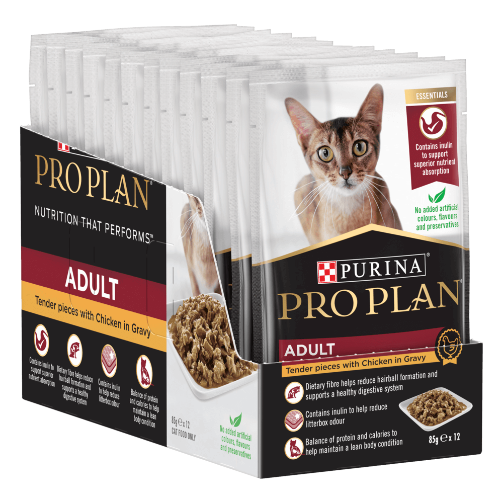 Adult Chicken Gravy Wet Cat Food Pouches