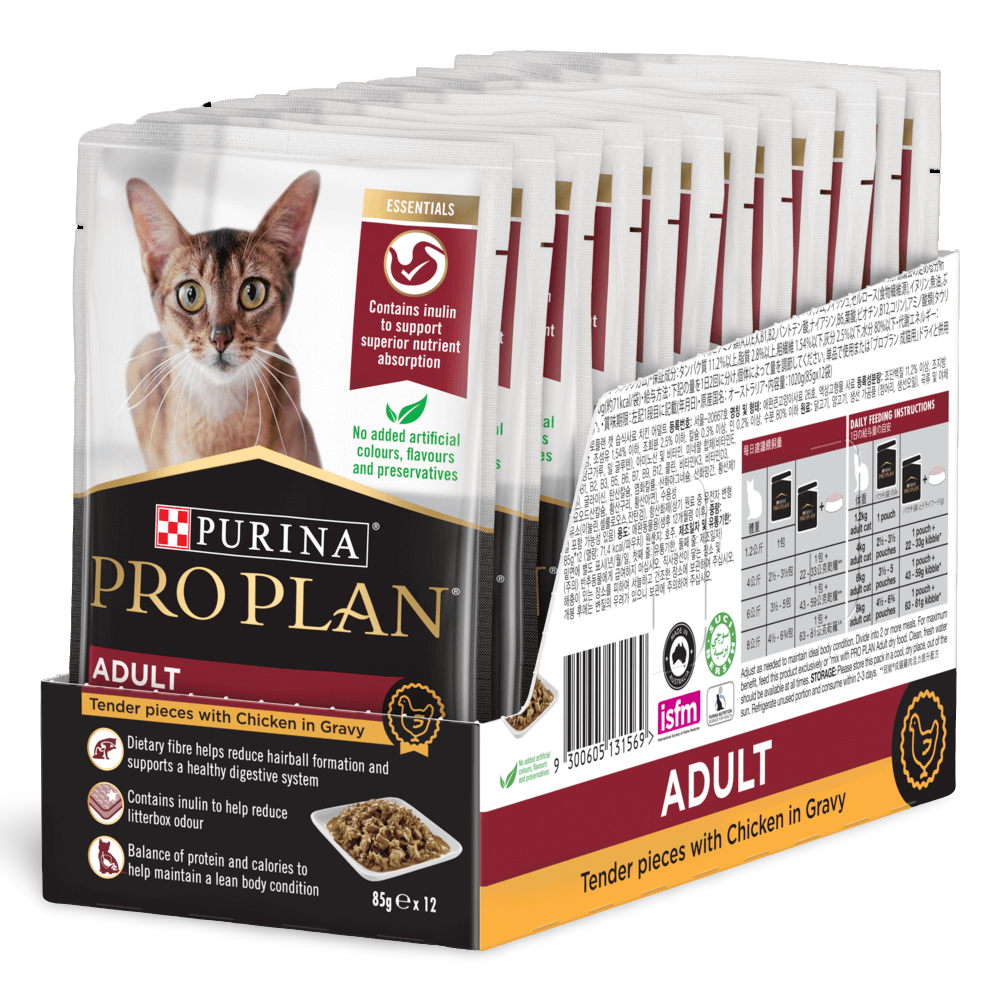 Adult Chicken Gravy Wet Cat Food Pouches