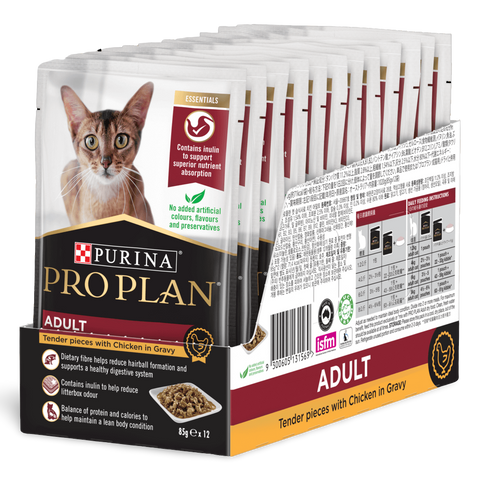 Adult Chicken Gravy Wet Cat Food Pouches