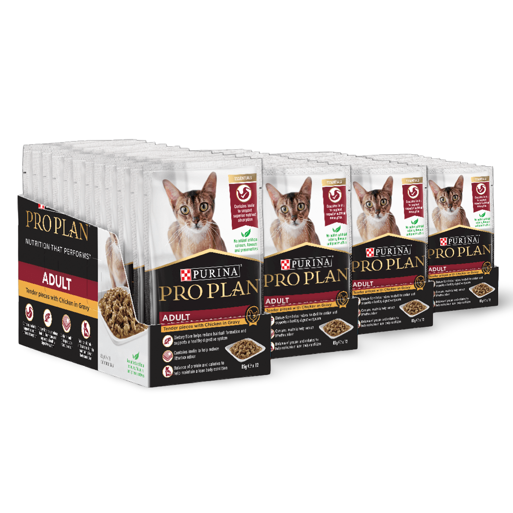 Adult Chicken Gravy Wet Cat Food Pouches