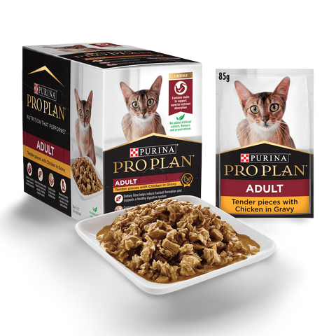 Adult Chicken Gravy Wet Cat Food Pouches
