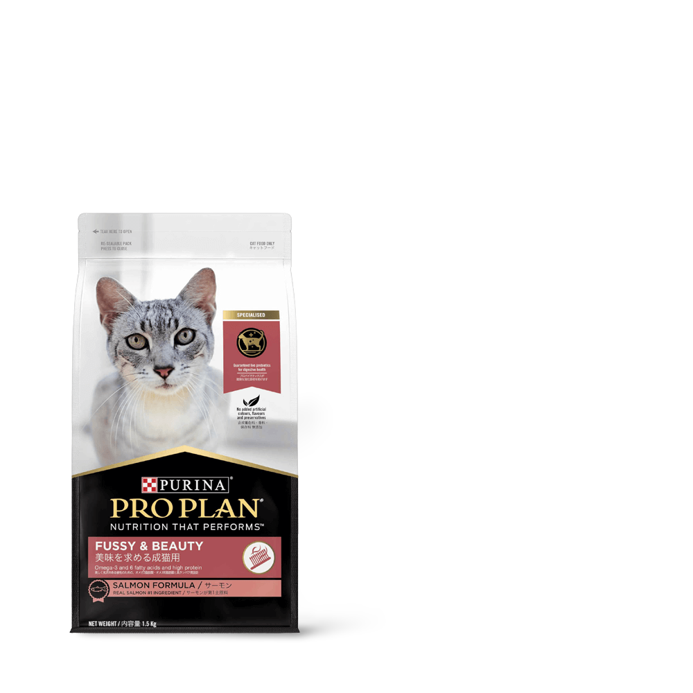 Adult Fussy And Beauty Dry Cat Food