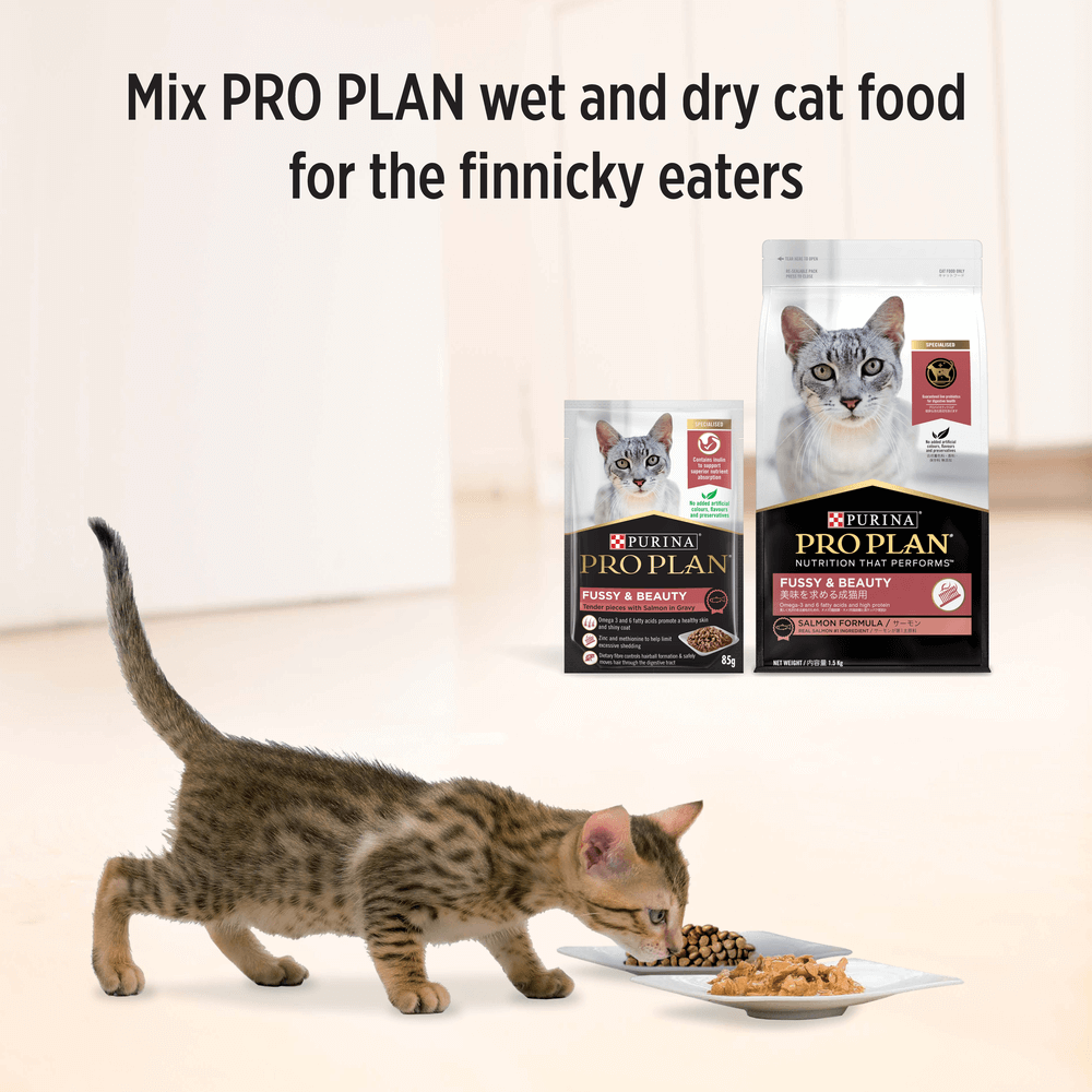 Adult Fussy And Beauty Wet Cat Food Pouches