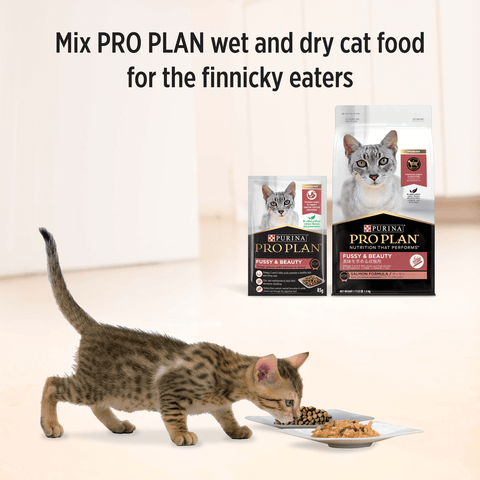 Adult Fussy And Beauty Wet Cat Food Pouches