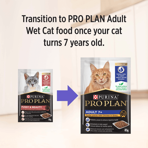 Adult Fussy And Beauty Wet Cat Food Pouches
