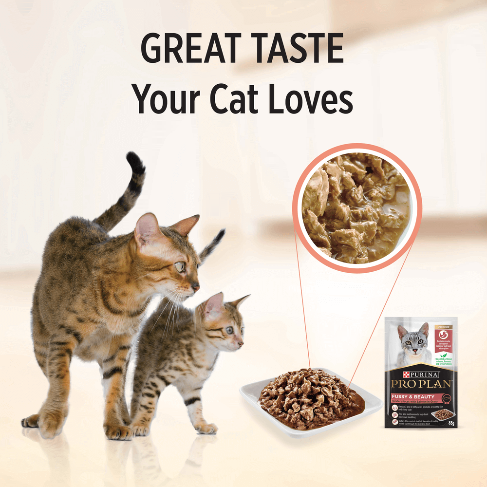 Adult Fussy And Beauty Wet Cat Food Pouches