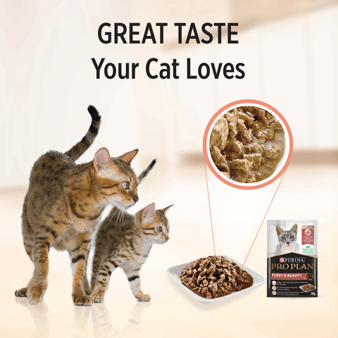 Adult Fussy And Beauty Wet Cat Food Pouches