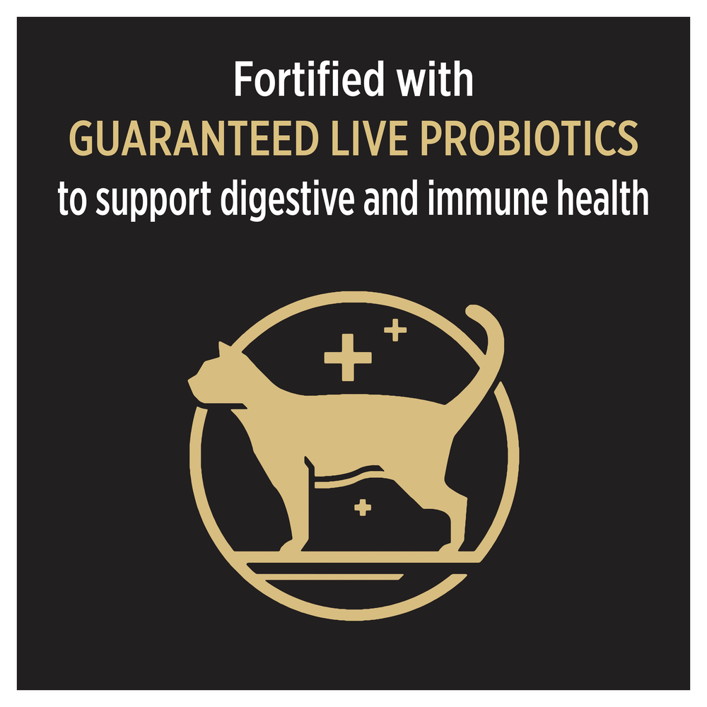 Adult Indoor Hairball Control Dry Cat Food