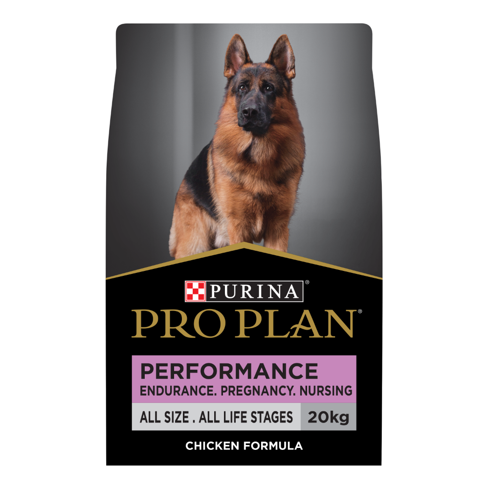 Performance Chicken All Lifestage Dry Dog Food