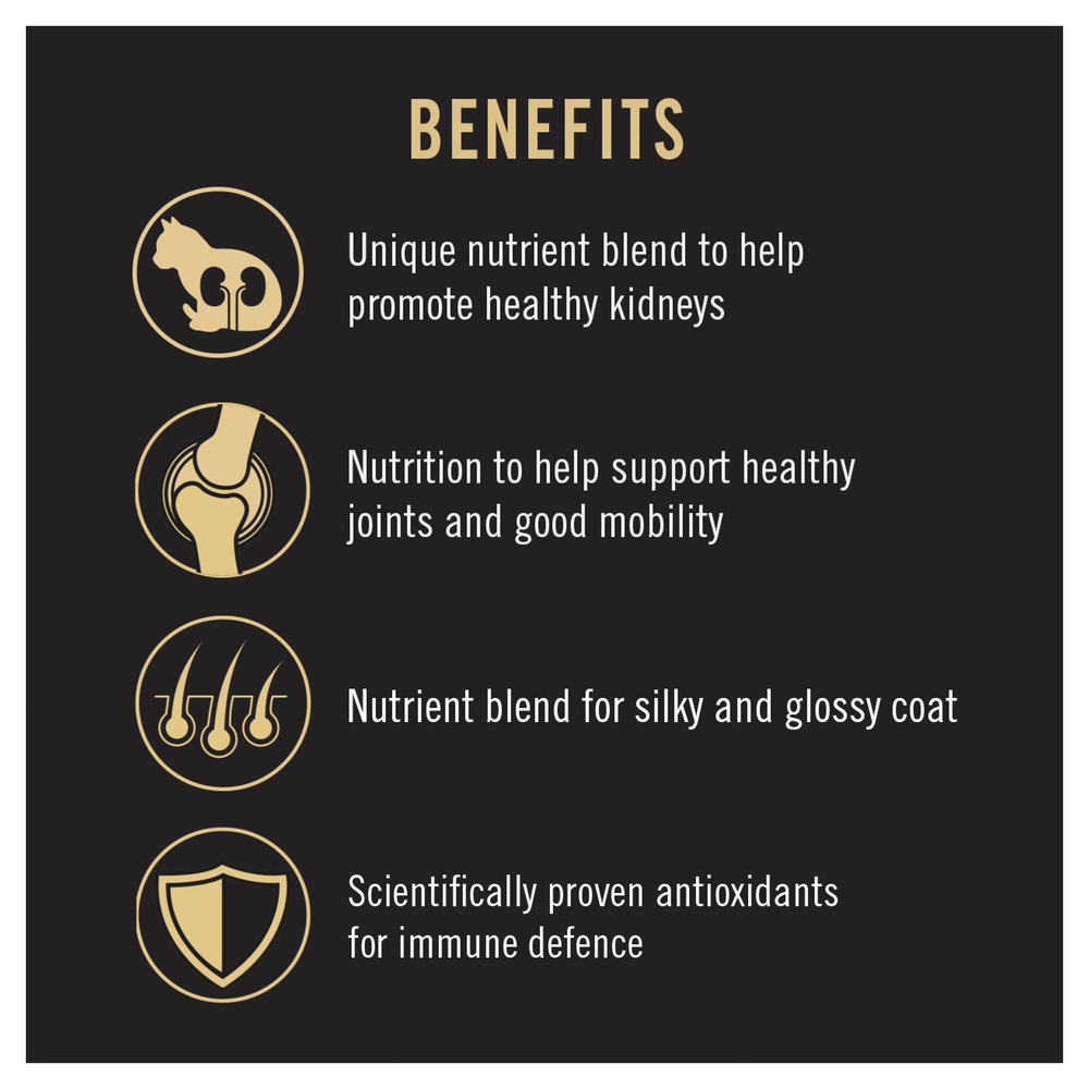 Adult Salmon Dry Cat Food